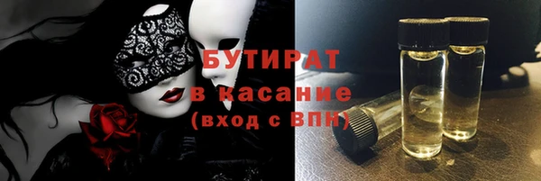шишки Магас