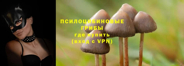 прущая мука Лиски