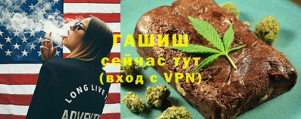 шишки Магас