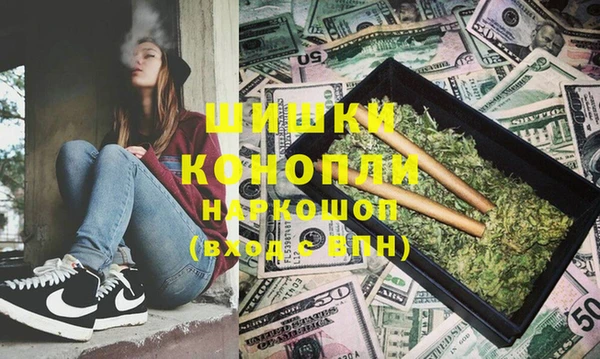 шишки Магас