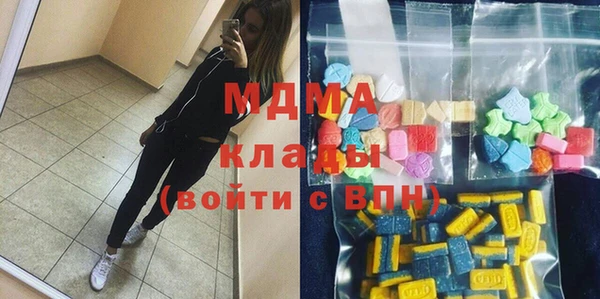 шишки Магас