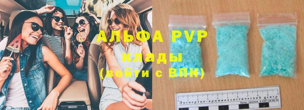шишки Магас