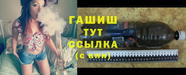 шишки Магас