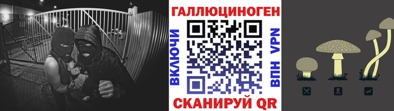 mega маркетплейс  Феодосия  Псилоцибиновые грибы Cubensis 