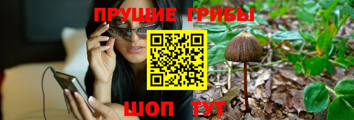 Псилоцибиновые грибы мухоморы Феодосия